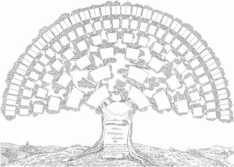 arbre genealogique telechargements