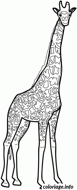 dessin animaux girafe coloriage 7355