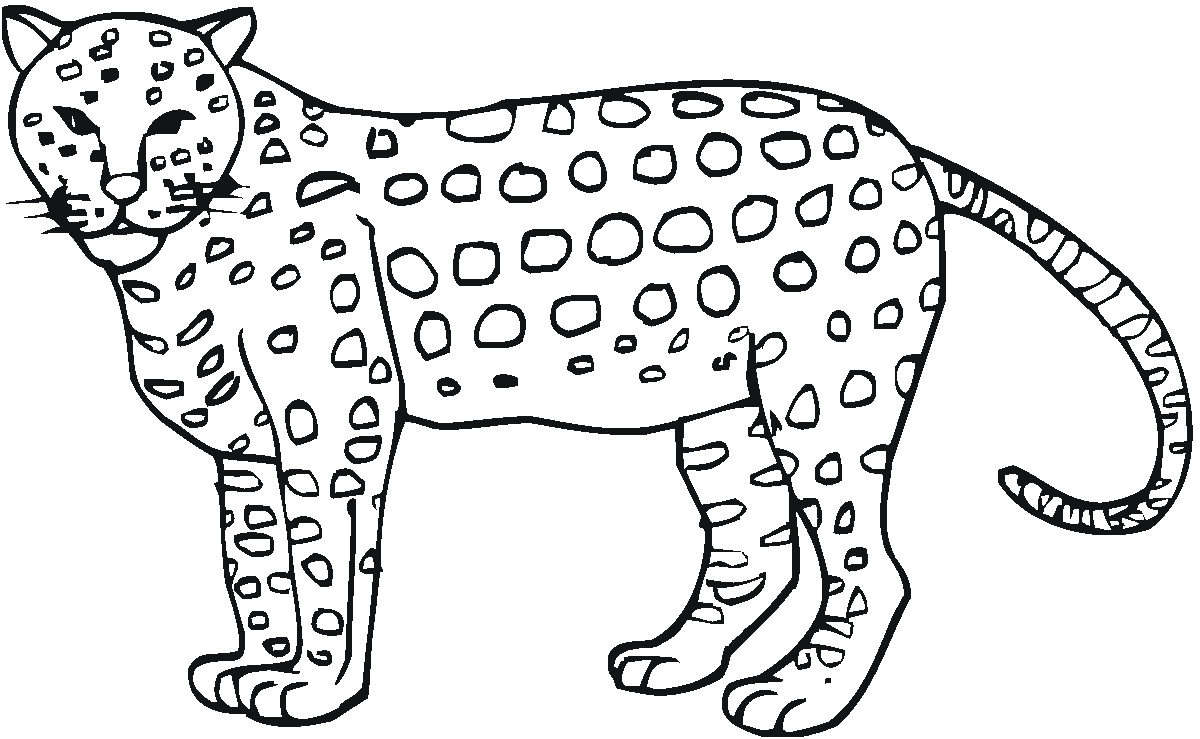 coloriage guepard dafrique