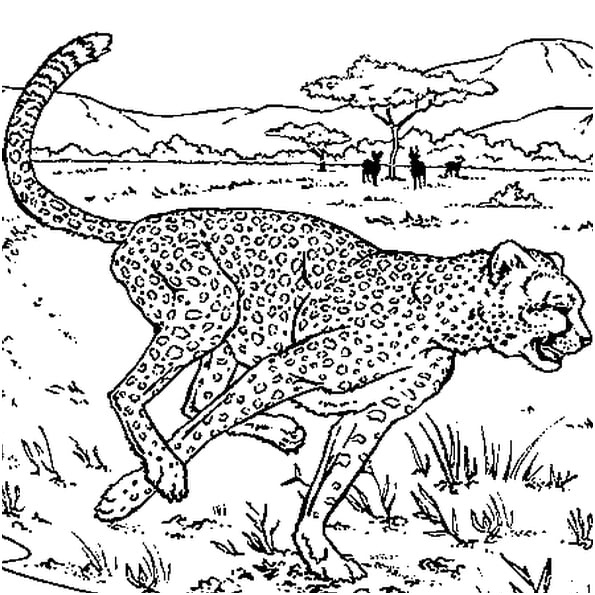guepard a colorier