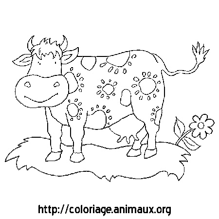 coloriage vache dans l herbe