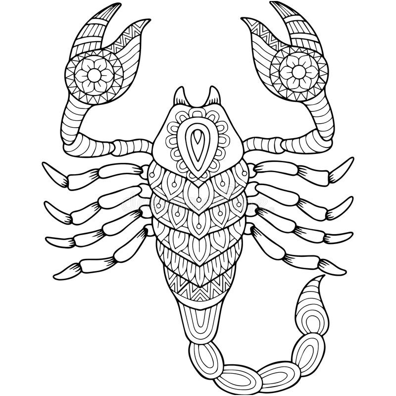 illustration stock livre de coloriage de vecteur pour l adulte silhouette de scorpion d isolement sur le fond blanc scorpion de signe de zodiaque image