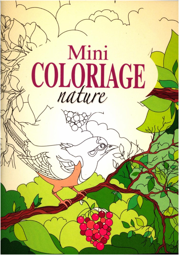 mini coloriage nature coloriages loisirs creatifs