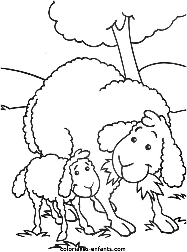 dessin un mouton