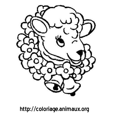 coloriage mouton et collier fleurs