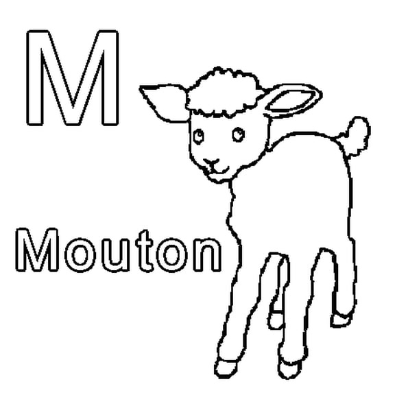 m me mouton coloriage