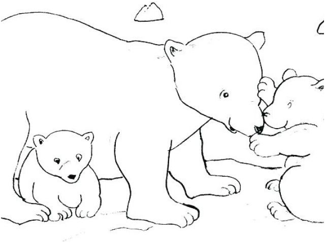 coloriage ours banquise coloriage ours polaire dessin animac 18 dessins de banquise a