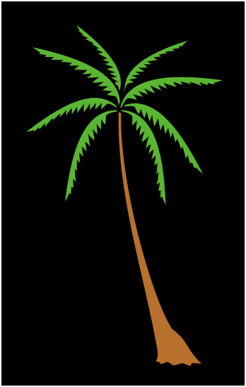dessin palmier