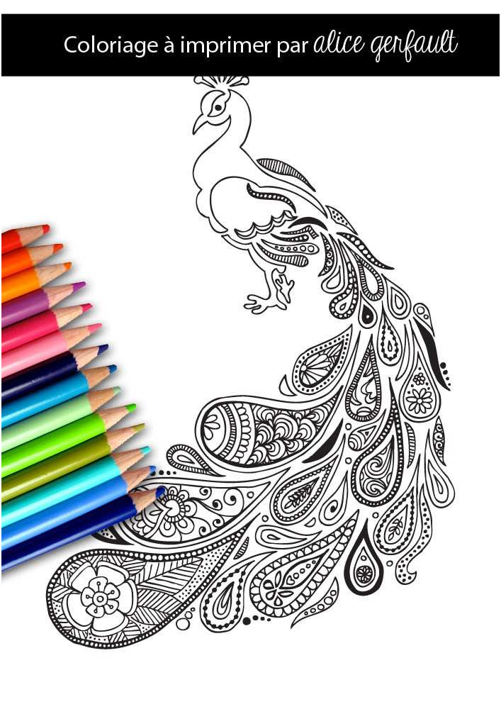 5958 page de coloriage paon au plumage paisley alice gerfault 5932 paon coloriages pour adultes