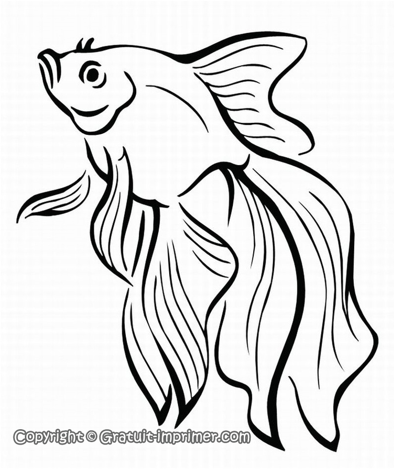 dessin poisson d avril colorier