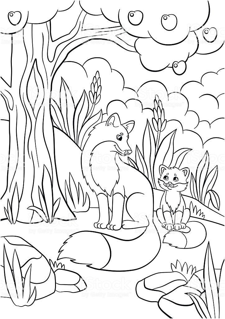 libri da colorare animali selvatici madre con il figlio di volpe gm