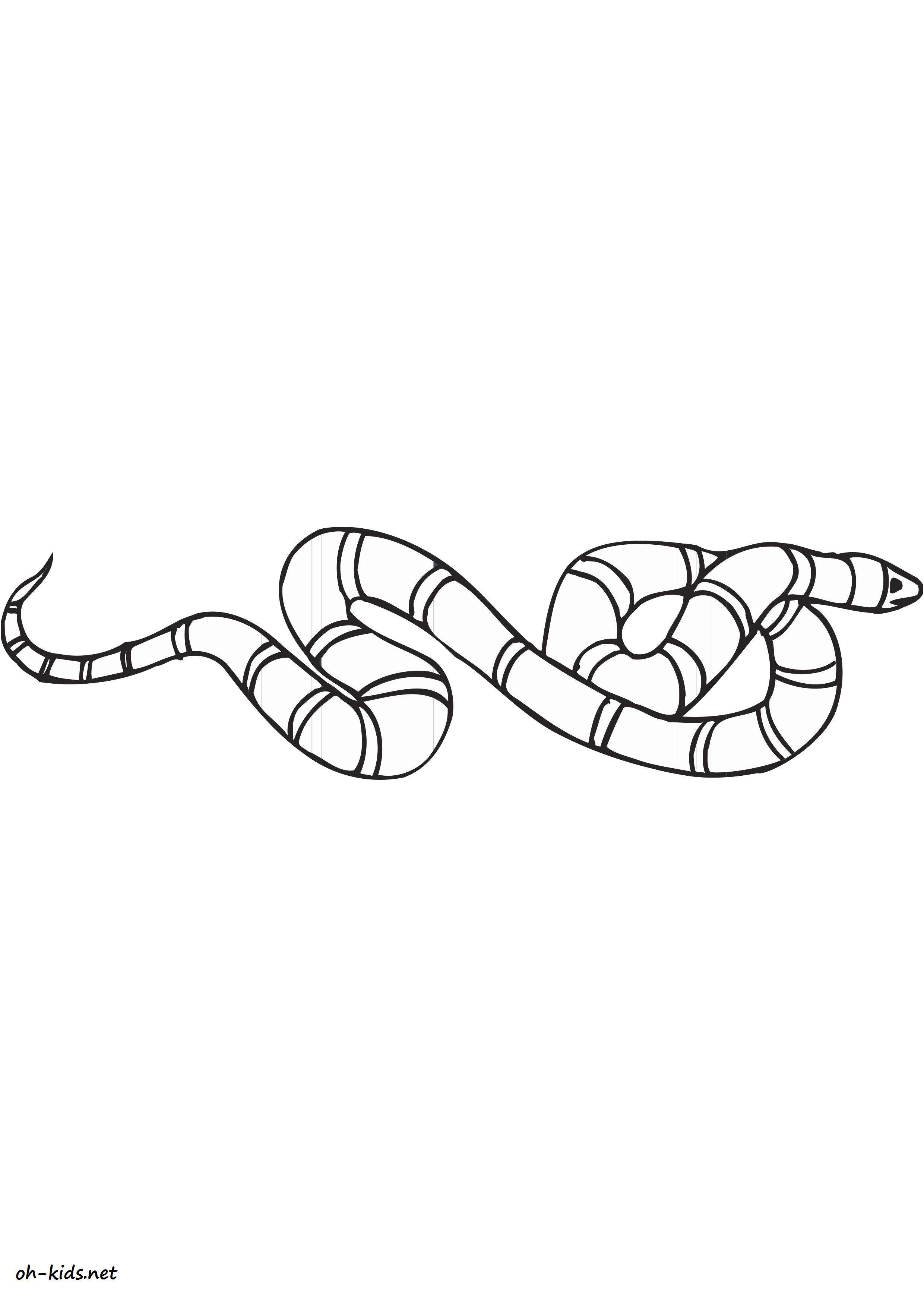 dessin 1084 coloriage serpent imprimer oh kids net