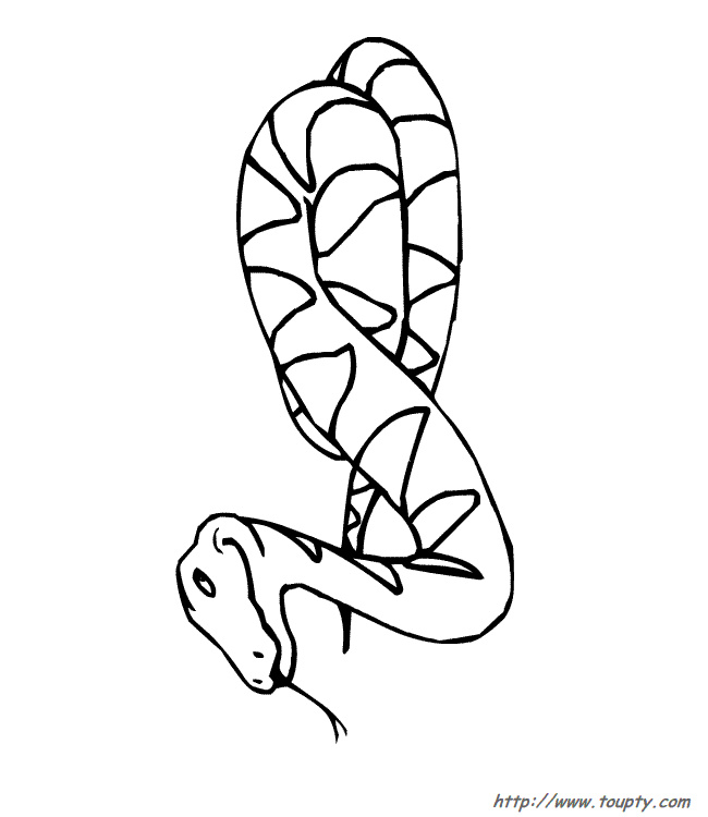 coloriage a imprimer serpent
