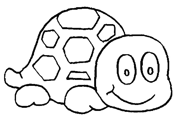 dessin tortue rigolote
