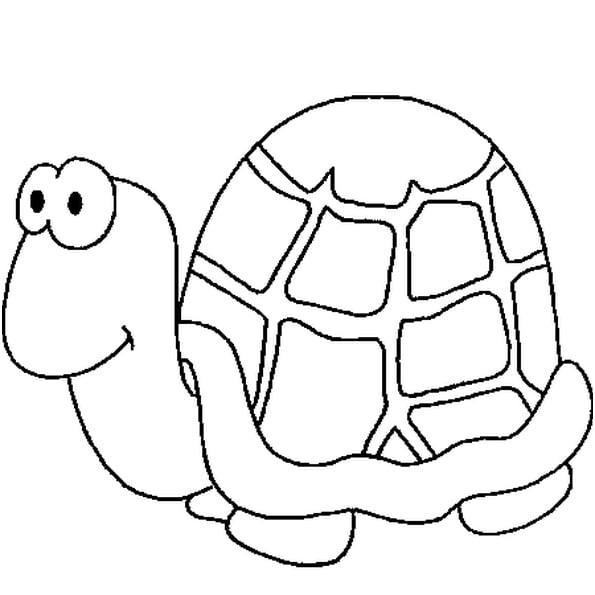 dessin stylise tortue