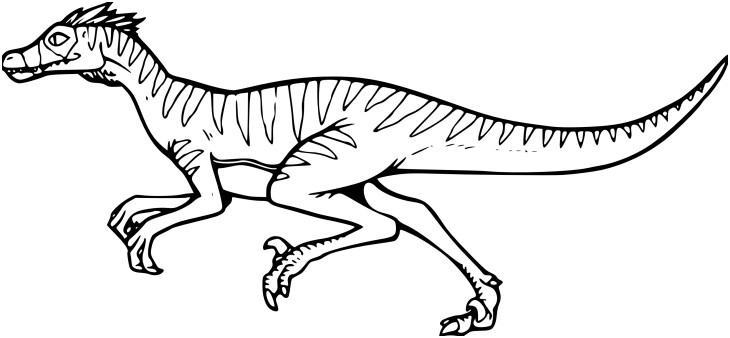 coloriage dinosaure velociraptor