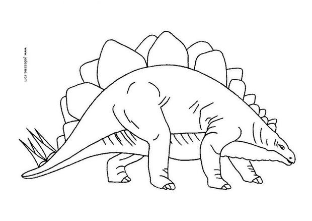 le stegosaurus