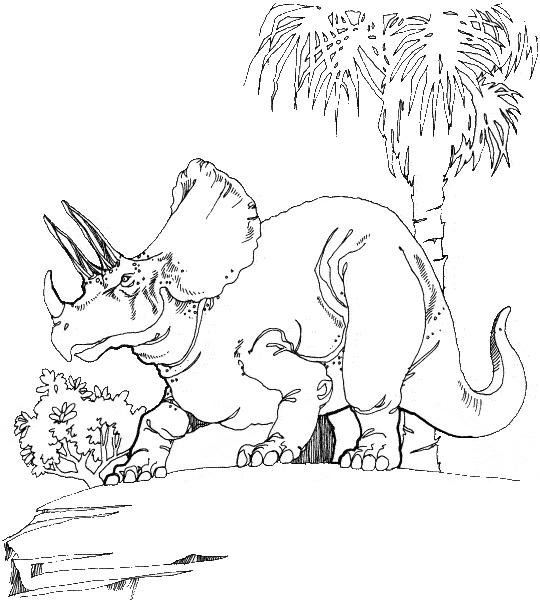 coloriage triceratops