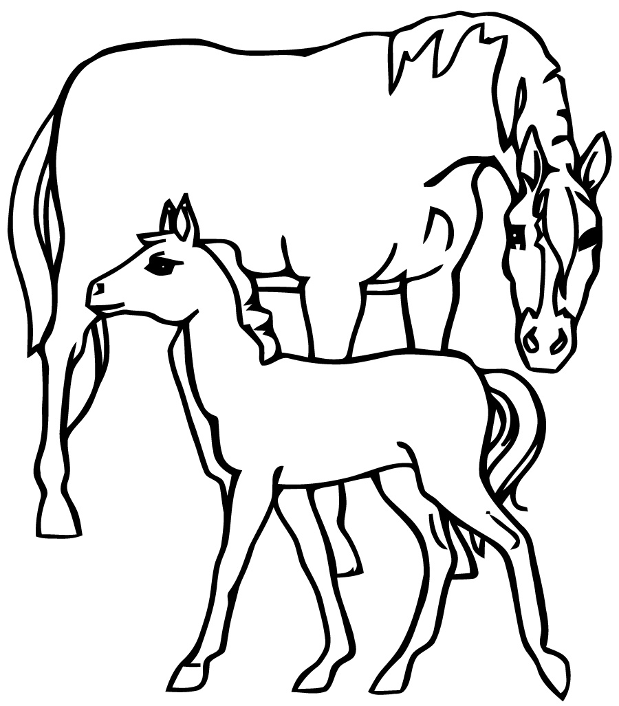 youtube coloriage cheval