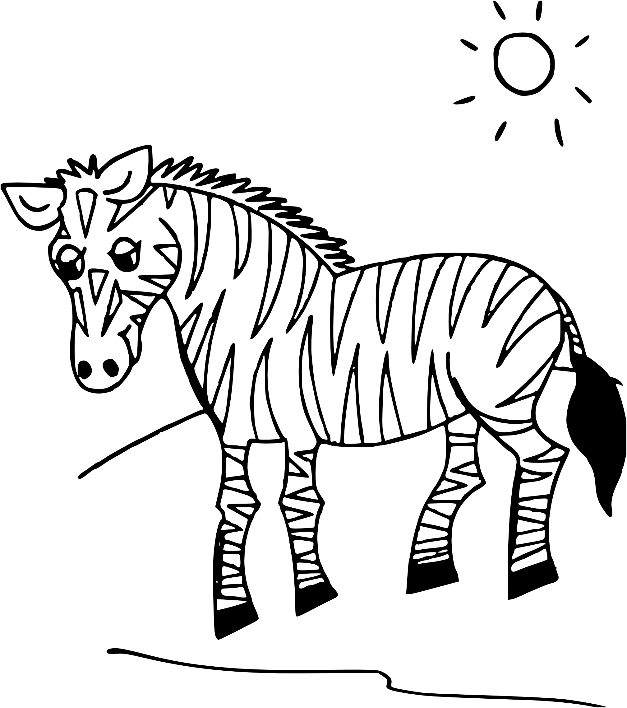 dessin coloriage zebre