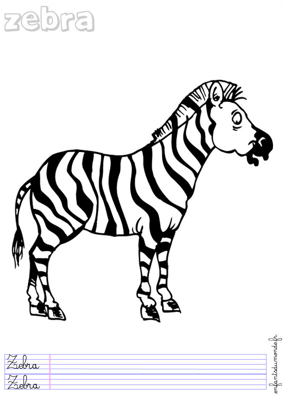 dessin zebre