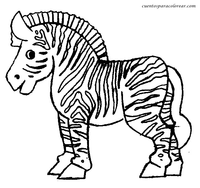 dibujos para colorear zebras