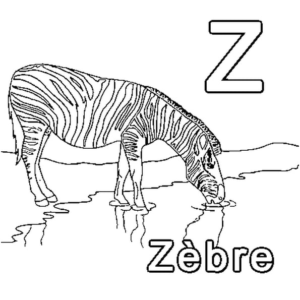 z me zebre coloriage