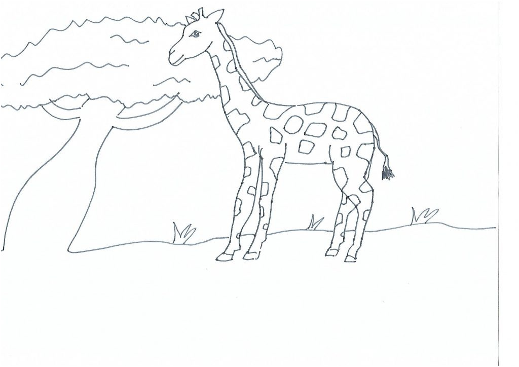 coloriage maternelle girafe d afrique a imprimer