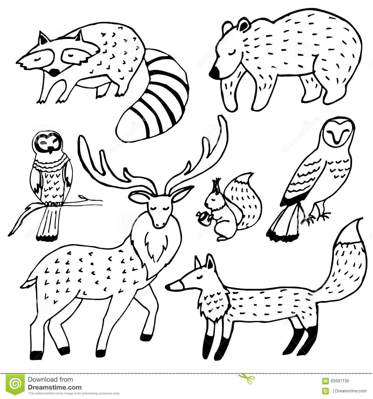 stock illustration forest animals drawings ink set isolated white background image
