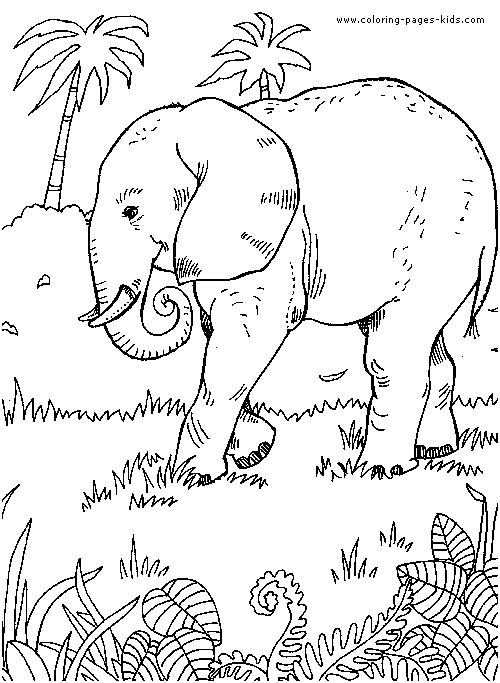 safari animal coloring pages