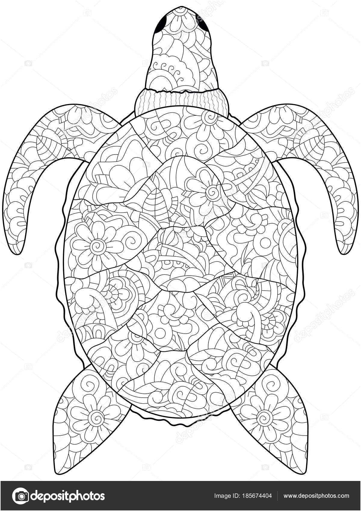 coloriage anti stress animaux tortue