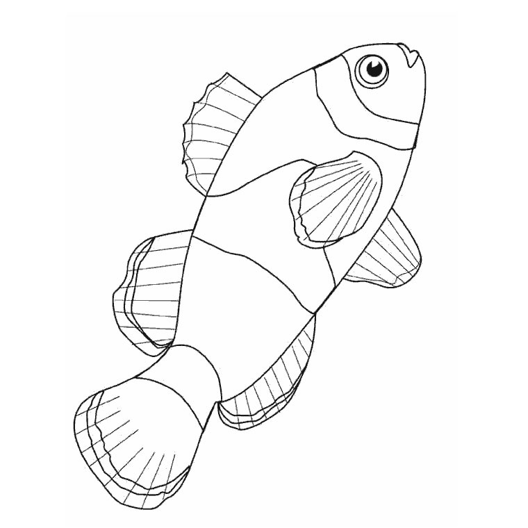 coloriage a dessiner les poissons rouges matisse