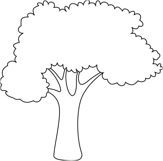 coloriage arbre