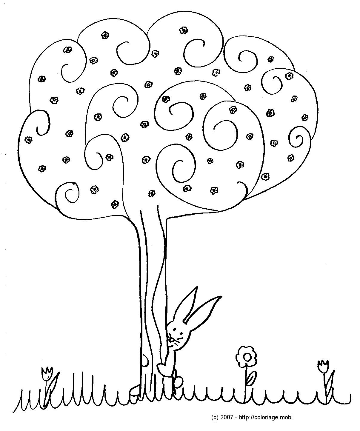ides de dessin arbre sans feuille a imprimer galerie dimages