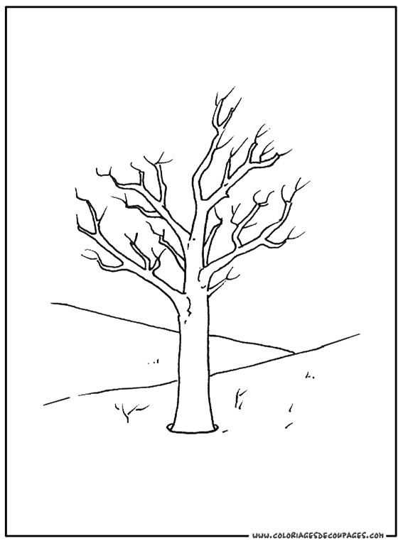 coloriage arbre sans feuilles 0 desen boyama 10 pinterest avec et dessin arbre sans feuille a imprimer 6 coloriage arbre sans feuilles dessin arbre sans feuille a imprimer