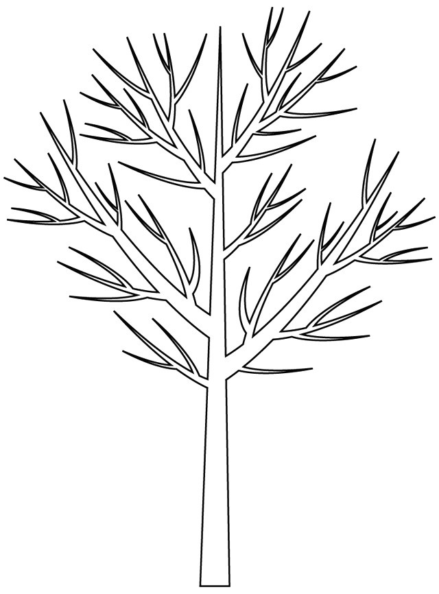 arbres images png avec fond transparent tests jeux ducatifs en avec arbre a 7 et arbre dessin sans feuille 37 arbre sans feuille arbre dessin sans feuille