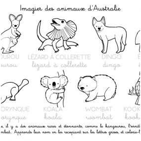 animaux d australie