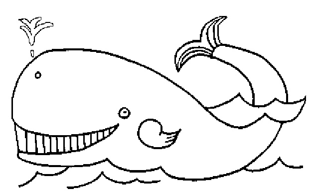 balena balena albastra balene imagini