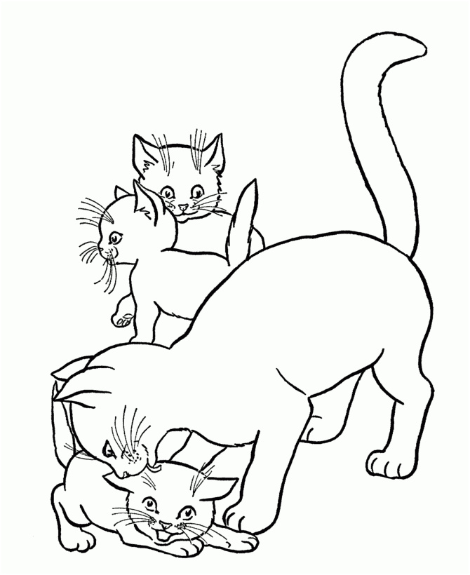 photo coloriage de bebe chat gratuit coloriage animaux