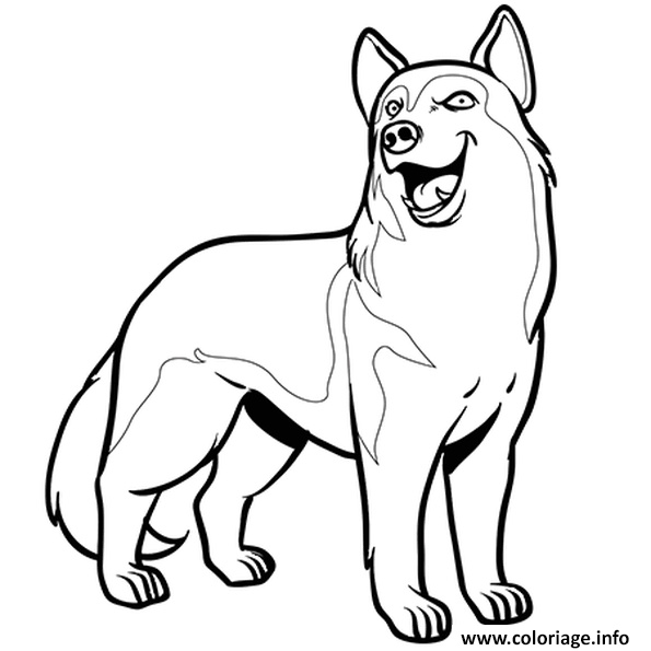 chien husky coloriage dessin