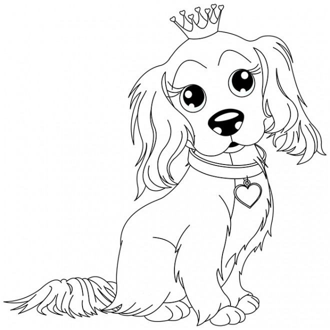 un chien mignon portant la couronne