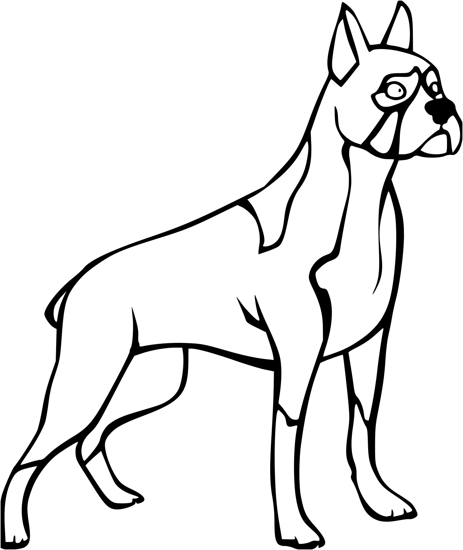 coloriage chien boxer