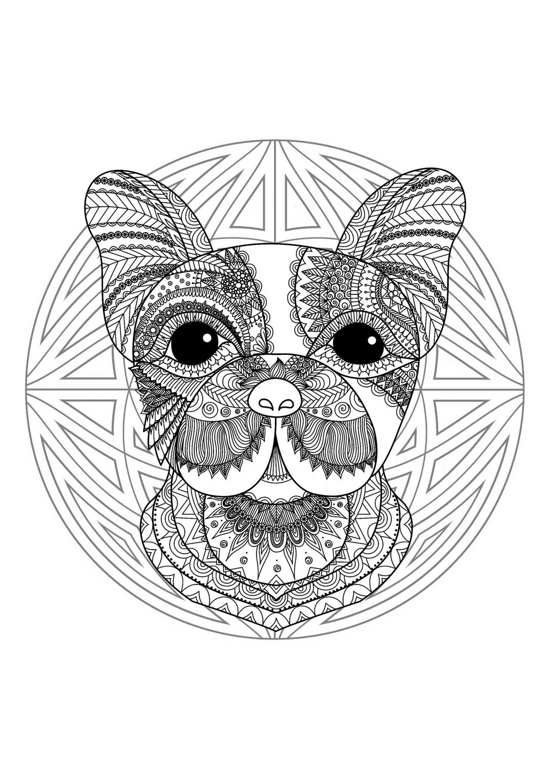 image=mandalas coloriage mandala tete chien 2 1