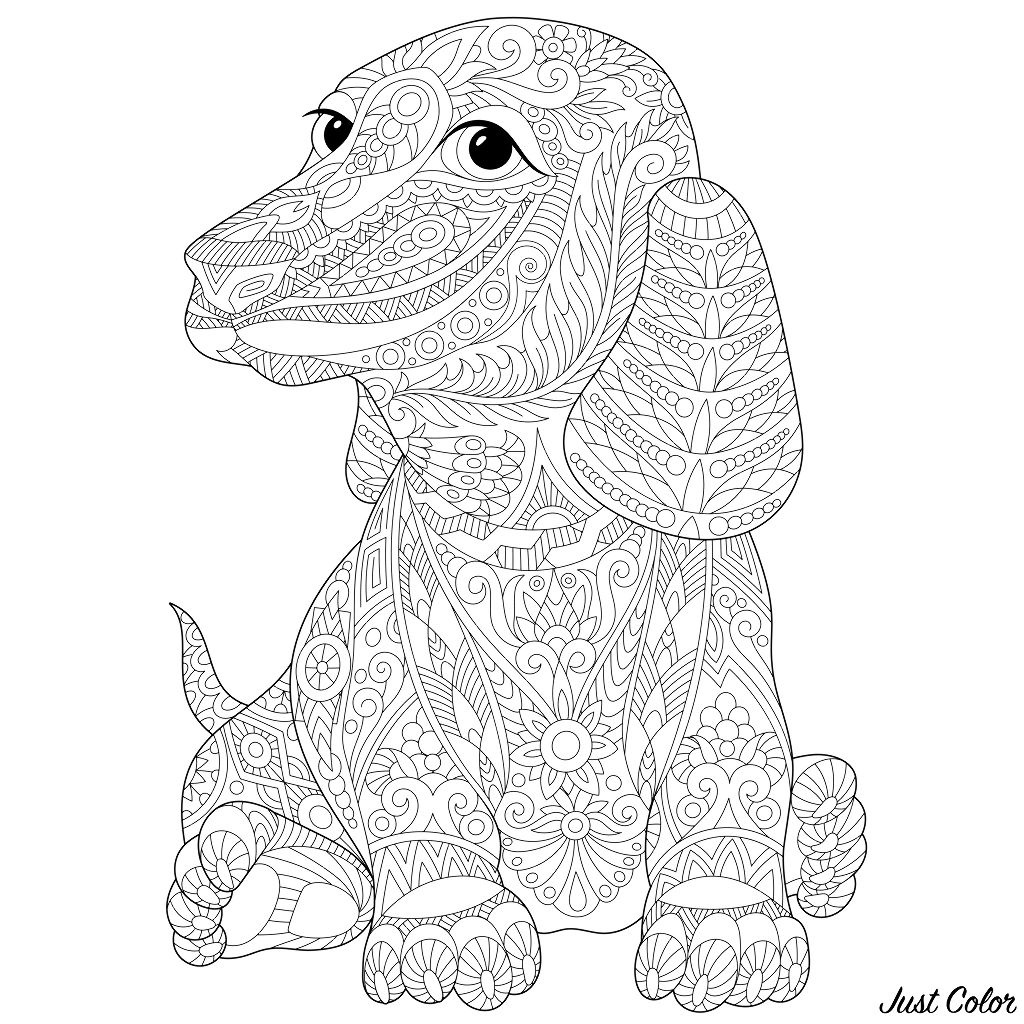 image=chiens coloriage chien teckel 1