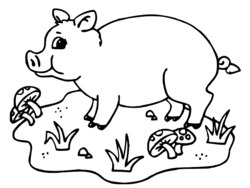 dessin a colorier cochon dans la boue