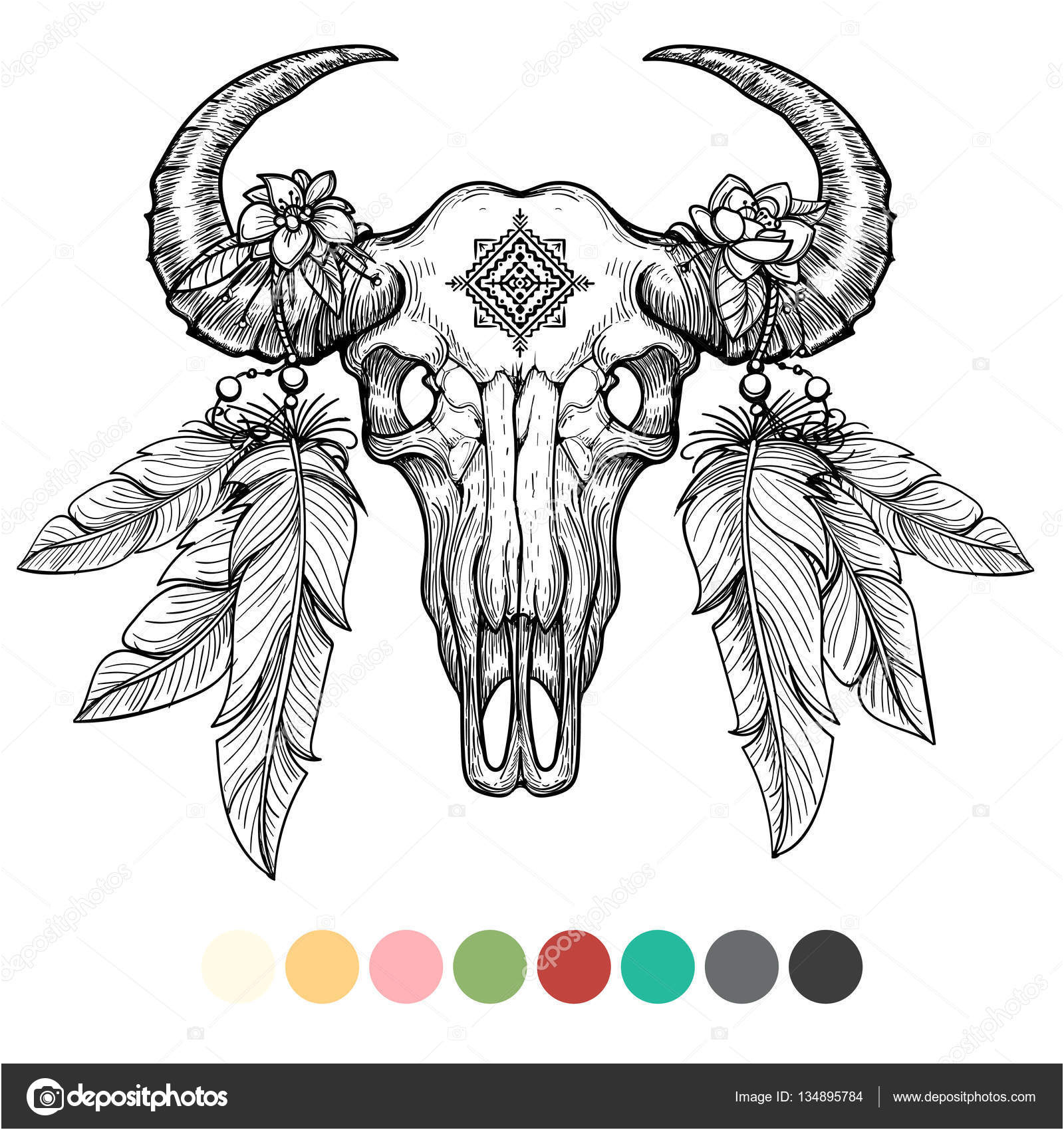 stock illustration animal skull coloring design