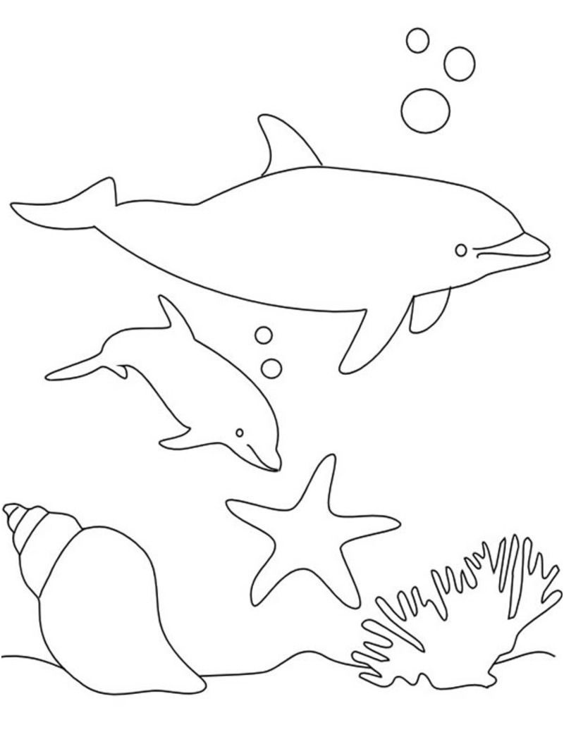 rub coloriages dauphins
