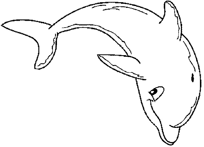 dessin de dauphin et de sirene