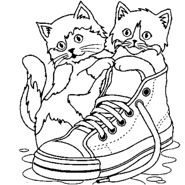 dessin des chats