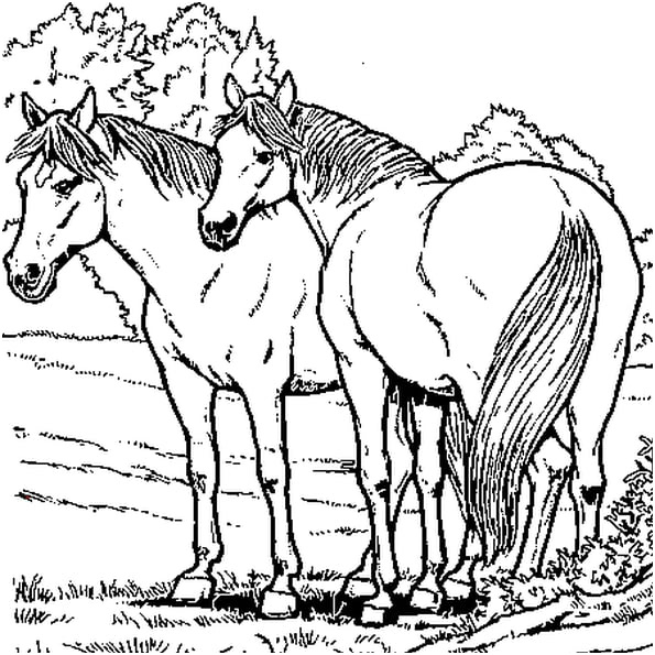 coloriage imprimer de cheval